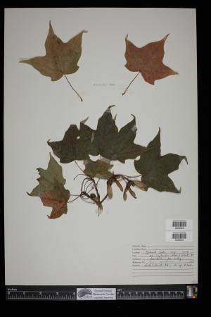 92074-Service File.jpg