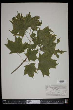 92075-Service File.jpg