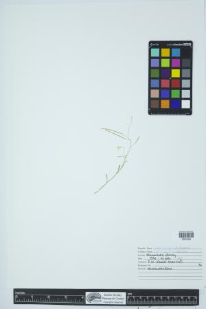 92083-Service File.jpg