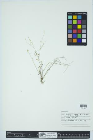 92084-Service File.jpg