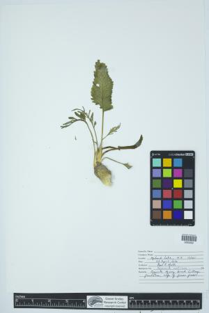 92098-Service File.jpg