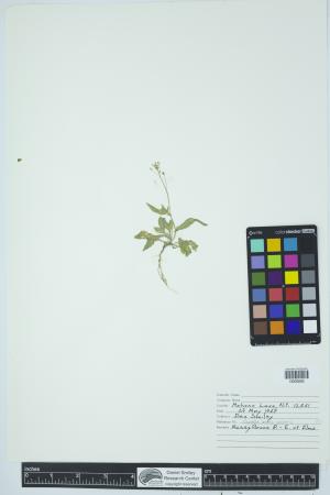 92106-Service File.jpg