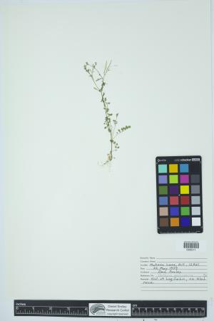 92111-Service File.jpg