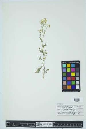 92142-Service File.jpg