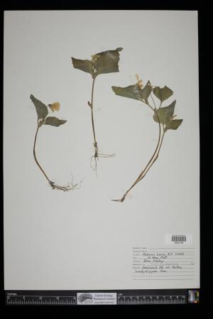 92152-Service File.jpg