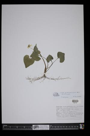 92154-Service File.jpg