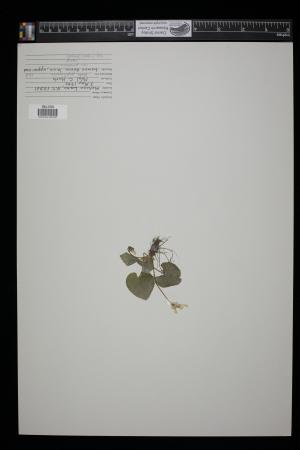 92165-Service File.jpg