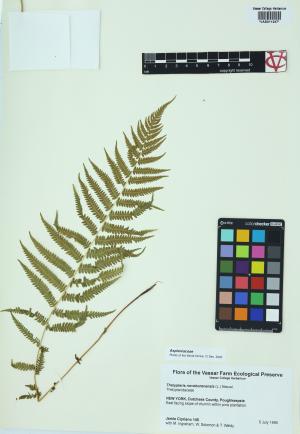 92240-Service File.jpg