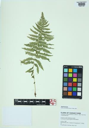 92241-Service File.jpg