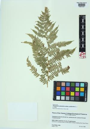 92246-Service File.jpg