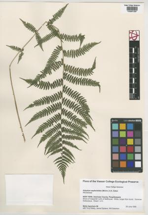 92247-Service File.jpg