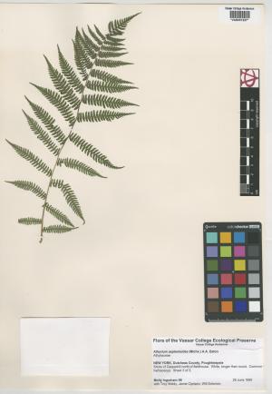 92249-Service File.jpg