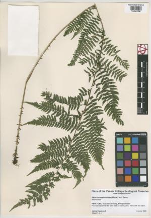 92250-Service File.jpg