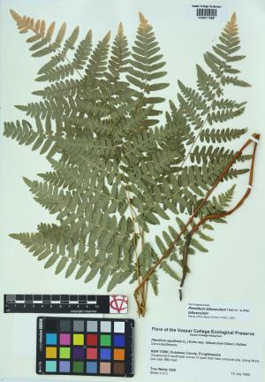 92256-Service File.jpg