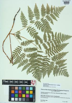 92257-Service File.jpg
