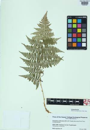 92277-Service File.jpg