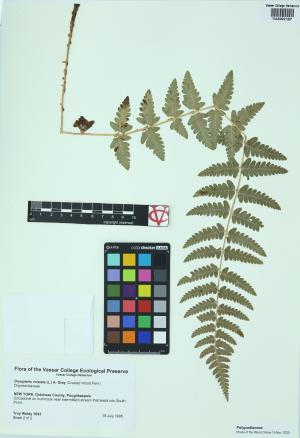 92278-Service File.jpg