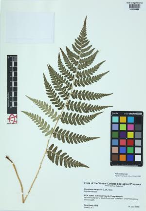 92285-Service File.jpg