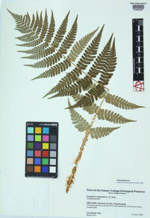 92287-Service File.jpg