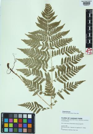 92290-Service File.jpg