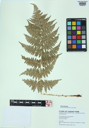 92291-Service File.jpg