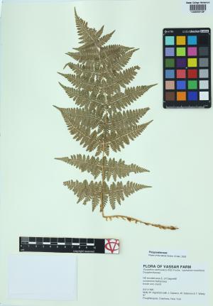 92292-Service File.jpg