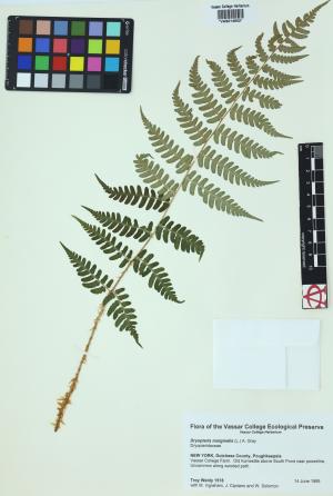 92297-Service File.jpg