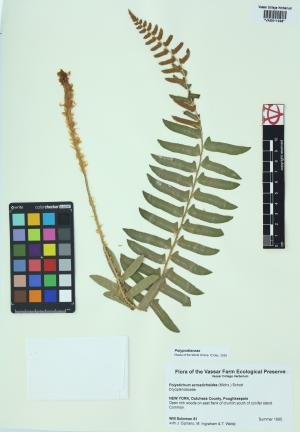 92299-Service File.jpg