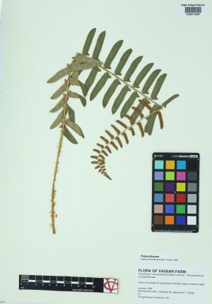 92300-Service File.jpg