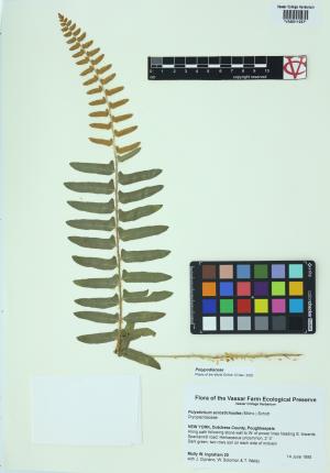 92302-Service File.jpg