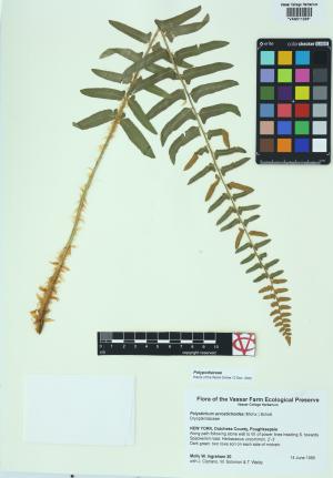 92304-Service File.jpg