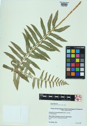92306-Service File.jpg