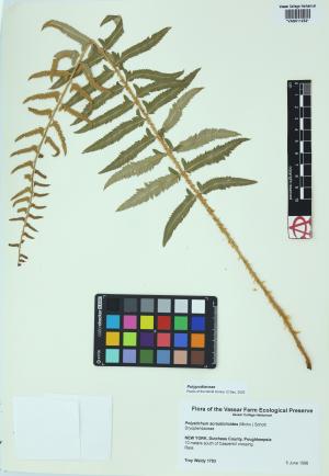 92307-Service File.jpg