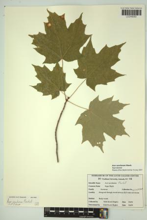 96502-Service File.jpg