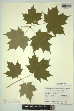 96503-Service File.jpg