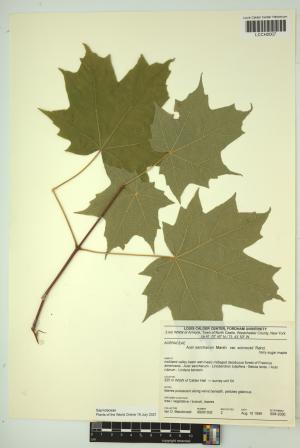 96506-Service File.jpg
