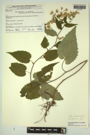 96556-Service File.jpg