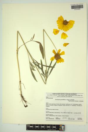 96564-Service File.jpg