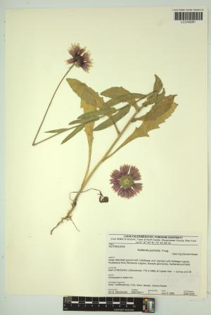 96580-Service File.jpg