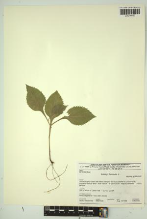 96588-Service File.jpg