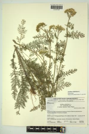 96606-Service File.jpg