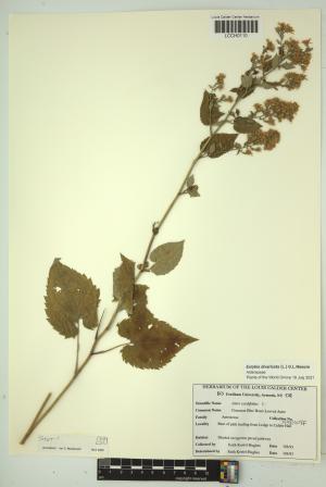 96608-Service File.jpg