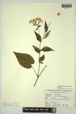 96609-Service File.jpg