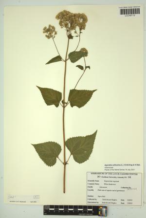 96610-Service File.jpg