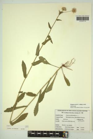 96612-Service File.jpg