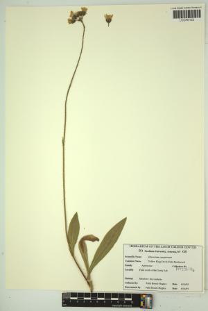 96620-Service File.jpg