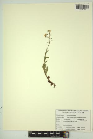 96648-Service File.jpg