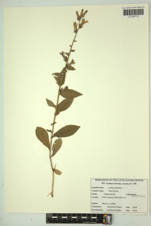 96668-Service File.jpg
