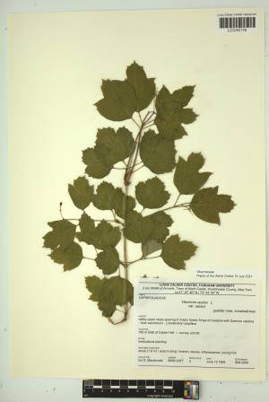 96674-Service File.jpg