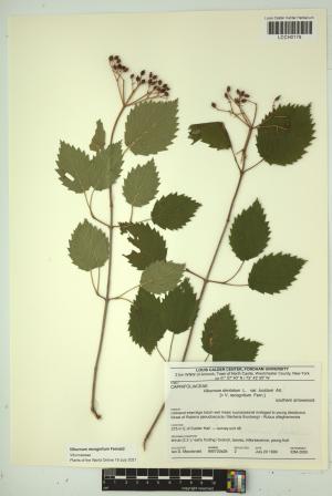 96677-Service File.jpg
